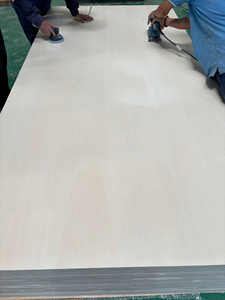 Contrachapado de Álamo de Primera Clase de Vietnam, 4x8 pies, 12, 15, 18, 21mm, Material de Núcleo de Pino CARB P2, Venta al por Mayor Directo de Fábrica Profesional - Product Image 4