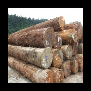 Proveedor de Troncos de Madera Dura de Teca Natural al por Mayor para los Mercados Comerciales de Carpintería, Muebles y Construcción - Product Image 1