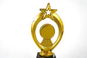 Trophée métallique personnalisé indien de qualité supérieure pour récompenses d'employés, réunions d'entreprise et événements professionnels – Trophée de performance au meilleur prix - Product Image 4