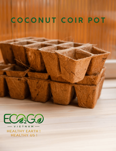 Macetas de Fibra de Coco Zero Transplant Shock Coir para el Crecimiento de Raíces con Poda Aérea, 100% Biodegradables, para Germinación de Semillas, Redondas y Cuadradas Personalizadas - Product Image 1