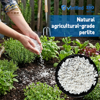 Perlite à Haute Expansion - Agrégat Léger pour l'Isolation Thermique, le Mortier et les Milieux de Culture Hydroponique pour l'Horticulture