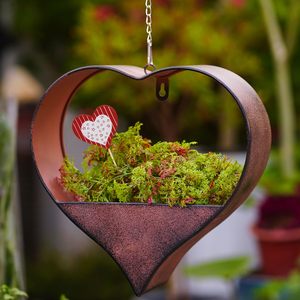 Juego de Macetas de Metal Galvanizado Rústico con Forma de Gallo para Hogar o Jardín, Contenedores Decorativos Ligeros y Ecológicos - Product Image 3