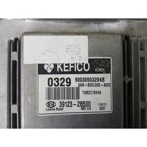 Módulos de Computación y ECUs Usados Soul 391232B500 - Product Image 2