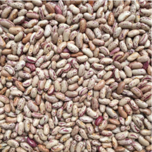 Pinto <b>Beans</b> Elite Quality Selection For Ingredient Supply Networks Featuring Superior Texture And Premium Grain Standards - Product Image 4