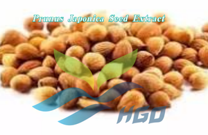 Suministro Directo de Fábrica HGO de Extracto Natural de Semilla de Sésamo Negro (Sesamum indicum) Grado Alimenticio Especificación 10:1 - Product Image 3