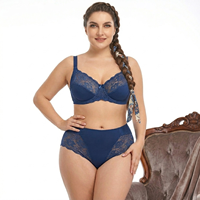 Ensemble soutien-gorge et culotte grande taille pour femme, broderie dentelle, bonnets à armatures, OEM ODM, taille personnalisée, séchage rapide, vente en gros, fournisseur direct d'usine