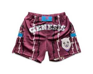 OEM BJJ <b>Shorts</b> Brazilian Jiu Jitsu Fight <b>Shorts</b> Custom Printed <b>Grappling</b> <b>Shorts</b> Fast Dry Athletic Sportswear - Product Image 4