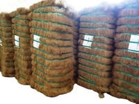 Fibres de coco écologiques de haute qualité pour l'exportation, 6-20 cm, noix de coco séchée, agriculture, 100% naturel pur, balle de 100 kg, marque GWE, GWE-CF