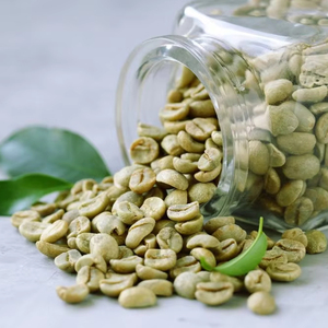 เมล็ดกาแฟอาราบิก้าเขียวออร์แกนิคธรรมชาติ 100% จากเวียดนาม ขนาด 18 เมล็ด ได้รับการรับรองมาตรฐาน USDA และ ISO 22000 ขายส่งจากโรงงาน มาตรฐานส่งออก - Product Image 1