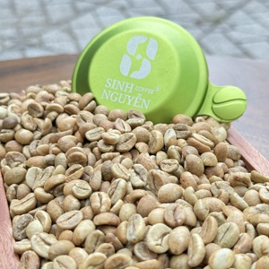 Granos de café de alta calidad, miel procesada Robusta verde de fábrica de Vietnam, superventas para café tostado - Product Image 3