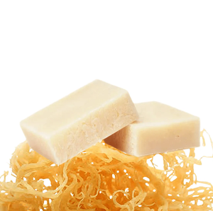 Mayorista de jabón de musgo marino de Vietnam - Product Image 1