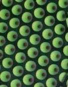 Leggings de Cintura Alta con Logotipo Personalizado, Cintura Elástica, Pantalones de Yoga para Gimnasio - Product Image 3