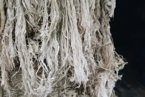 Fibra de Hoja de Piña de Calidad de Exportación - Limpiada, Secada al Sol y Lista para la Fabricación Textil - Product Image 3