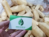 Éponge de Douche Exfoliante Naturelle en Loofah, Design Long et Tendance, Écologique et Biodégradable, Beige Future