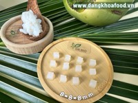 Vietnam Fabriek Leverancier DK BIO Biologische Rauwe Kokos Nata De Coco Natuurlijke Jelly Halal HACCP Gecertificeerd 24 Maanden Houdbaarheid Direct
