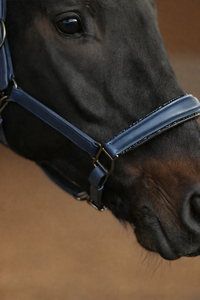 Harnais pour cheval en cuir brun hybride réglable, durable, fait main, de haute qualité, personnalisé, en gros, fabrication artisanale - Product Image 2