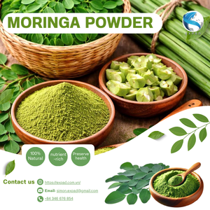 Poudre de feuilles de Moringa déshydratées en vrac, feuilles de Moringa déshydratées du Vietnam, vente en gros, emballage naturel pour l'exportation - Product Image 6