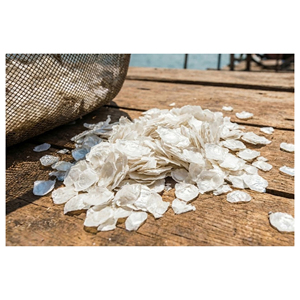Écailles de poisson séchées pour la fabrication de produits nutraceutiques, ingrédients alimentaires fonctionnels et applications de compléments alimentaires - Product Image 6