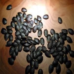 Export Quality Factory In Vietnam Competitive Price Selected Dried Passion Fruit <b>Seeds</b> <b>Packed</b> in 1kg Bag - Product Image 3