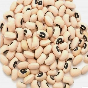 Haricots noirs en gros pour les détaillants et les distributeurs avec une qualité de grain constante et une saveur naturelle - Product Image 3