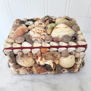 Ocean-inspired jewellery organizer seashell <b>trinket</b> candy box cheap price decorative sea shell <b>boxes</b> - Product Image 1