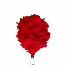 Cómodo Bralette de Algodón Trenzado Moderno, Ligero, Suave al Tacto y Resistente al Agua |   Hackle al por Mayor - Product Image 5