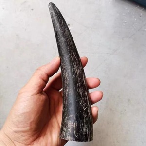 Cuerno de Búfalo Natural Ecológico con Punta Pulida, Diseño Rústico Moderno, Alta Calidad, Negro - Product Image 6