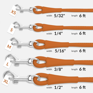 2026 Top Selling High Quality Wholesale Luxury Adjustable And Secure Buckle Leather <b>Dog</b> <b>Leash</b> - Product Image 5
