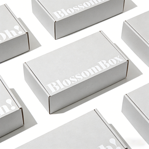 Caja de Cartón Plegable para Envíos, de Papel Kraft Natural, Ecológica, Resistente y con Logotipo Personalizado - Product Image 1