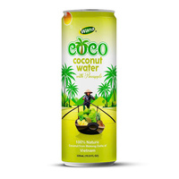 Marque privée/OEM/ WANA-Vente en gros d'eau de coco pétillante en conserve du fabricant de boissons 320ml