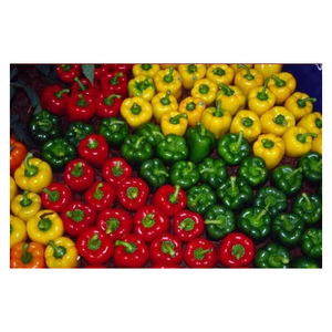 Pimientos frescos amarillos / Capsicum rojo y verde fresco en venta - Product Image 3