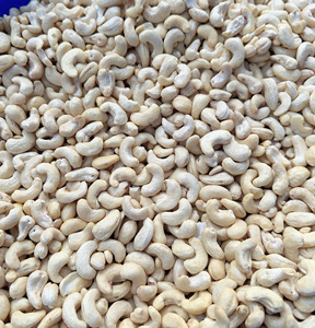 Factory Cheap Price Vietnam Cashew Nut Raw Cashew Nut Wholesale Ww180, Ww210, Ww320 With Free Tax - Product Image 1