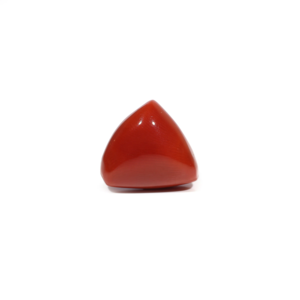 Natural Red Coral Oval Cut Loose Gemstone 11.75 Carat for Fine Jewelry - Product Image 2
