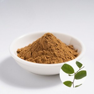 Suministro OEM a Granel: Polvo 100% Natural de Gymnema Sylvestre, Grado Alimenticio, Polvo de Hoja de Gurmar para Suplemento Dietético Saludable - Product Image 5