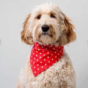 New Fashion Heart to Heart Pattern Light Red Green <b>Bandana</b> Pet Dog Collar Leash with Metal Buckle - Product Image 3