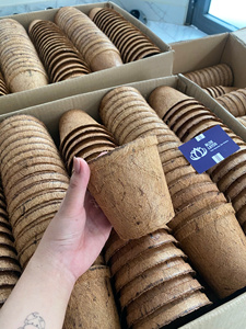 Maceta de Fibra de Coco de Calidad de Exportación, Biodegradable, para Plántulas, BLUE LOTUS VIETNAM 2026 - Product Image 4