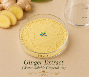 HGO Factory Fourniture directe d'extrait de gingembre naturel pur (qualité alimentaire) Spécification Gingerol 15% (extrait standardisé) - Product Image 4