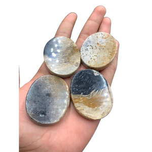 Racimo de Palma Natural Premium, Forma Plana, 45x35x7 mm – Piedra Decorativa Pulida con Patrón Ojo Único - Product Image 3