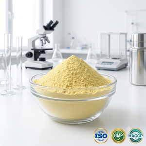 Poudre de citron déshydraté pur pour la vente en gros, fournisseur et exportateur pour l'industrie alimentaire - Product Image 4