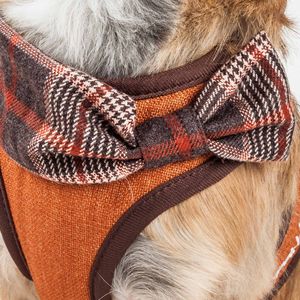 Luxe Pawsh Pettorina e Guinzaglio 2-in-1 Regolabili per Cani, Design a Rete Invertita alla Moda con Papillon - Product Image 3