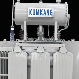 หม้อแปลงไฟฟ้าแบบจุ่มน้ำมันสามเฟส 50/60Hz ผลิตในเกาหลี OEM ODM Kumkang 300kVA/12470GY/7200/208Y/120V2 Pos. แอลบีโออาร์ - Product Image 1