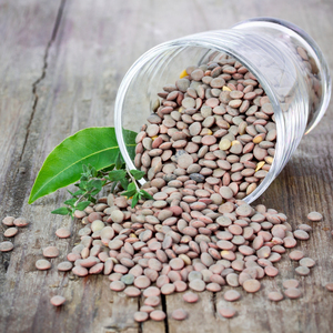 Suministro de Alimentos Naturales a Base de Plantas que Ofrece Lentejas Marrones para Compradores al por Mayor con Empaque de Calidad y Envío Global desde Origen - Product Image 5