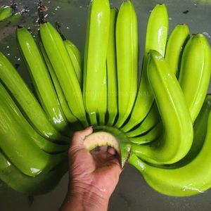 Bananes Cavendish vertes fraîches de haute qualité en provenance du Vietnam - Product Image 4