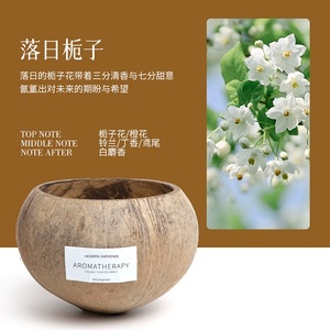 Bougie parfumée artisanale en coquille de noix de coco naturelle, cire d'aromathérapie, décoration tropicale, parfum d'ambiance pour la maison, cadeau pour la relaxation - Product Image 2