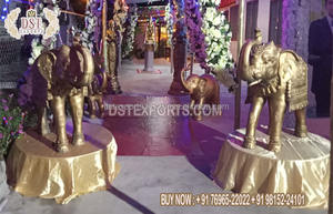 Estatua de elefante de boda indio para exteriores, estatua de elefante de boda india de FRP, Gujrati - Product Image 6