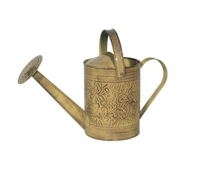 Arrosoir en fer rustique de haute qualité avec poignée en bois, outil de jardinage durable, finition peinte - Product Image 5