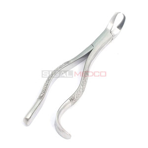 Premium German Stainless Steel Root Extracting Forceps #16 Lower Molar Universal Manual High Quality Dental Extraction - Product Image 2