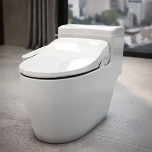 Compact Bidet NEPTUNE Bidet Seat ALB-5805 Water Cleaning Available Massage Function Children Function No Filter Needed