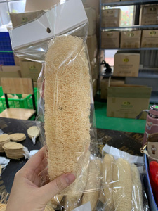 Esponja de Luffa Orgánica Cruda Seca a Precio de Fábrica, Pieza Entera para Baño, Exfoliación Corporal, Limpieza de Platos en la Cocina - Macy - Product Image 3