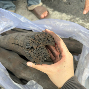 Charbon de mangrove de l'usine du Vietnam 100% bois dur sans mélange - BIWOOD COMPANY 84973101511 - Product Image 1